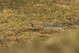 IMG_7917.JPG